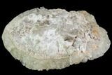 Fluorescent Calcite Geode - Morocco #89597-2